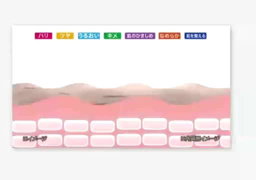 熟酵 独自開発原料配合 ハリツヤ潤い肌へ導く 新VC100 ブライト