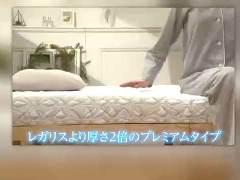 定価15万！極上の寝心地 ブレスエアー レガリス スーパーDX シングル 2枚あわせの贅沢仕様で 極上の寝心地！ ブレスエアーレガリス