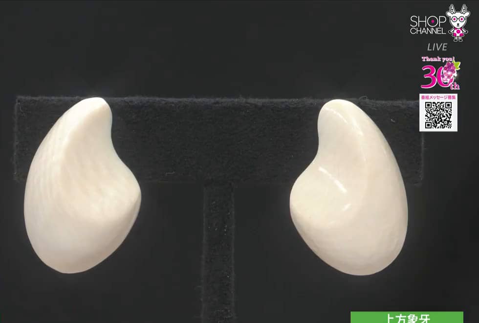 上方象牙 象牙 しずくえぐりデザイン イヤリング- ショップチャンネル