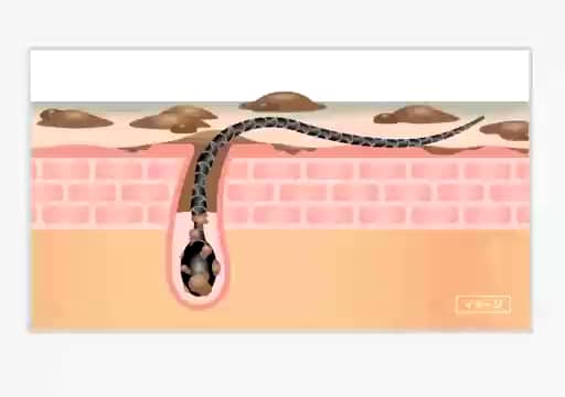 ペスカ スキンケア発想で開発！ 頭皮を健やかに保ち ハリコシのある髪