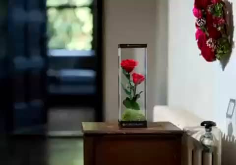 ショート動画詳細 - 通販・テレビショッピングのショップチャンネル