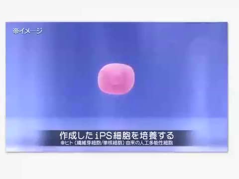 ショート動画詳細 - 通販・テレビショッピングのショップチャンネル