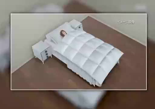 nishikawa ポーランド産ダウン 防ダニ・抗菌・洗える