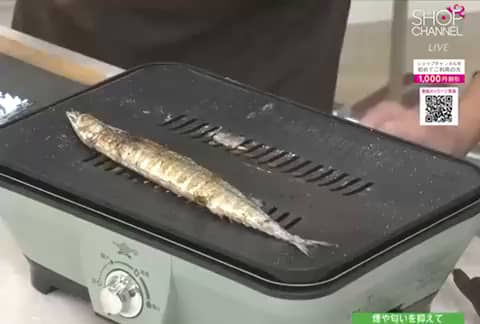 アラジン 煙や匂いをおさえ 美味しく焼きあげる！ わずか約0