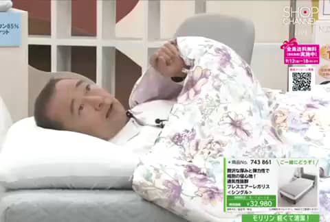 モリリン メルティーリッチダウン ほこりが出にくい 防ダニ