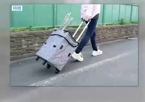 肩に掛けて 持ち運びができる！ スマート ショッピングカート エッグ