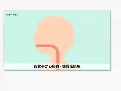 スッキリシトール 2袋セット ＜機能性表示食品＞- ショップチャンネル
