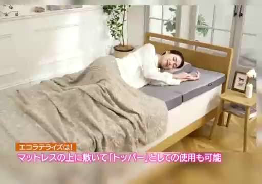エコラテライズ 格別の寝心地と 取り扱いの良さを両立！ 2層構造三