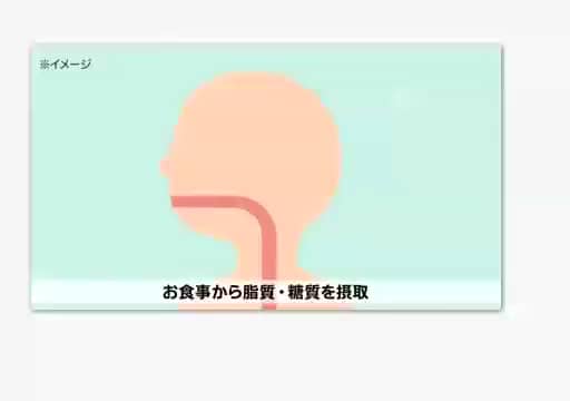 スッキリシトール- 通販・テレビショッピングのショップチャンネル