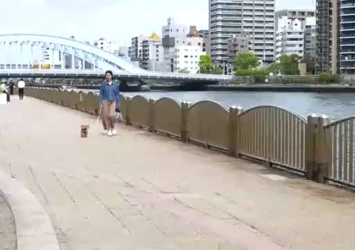 BIRDIE ボニーリード＜S＞- ショップチャンネル