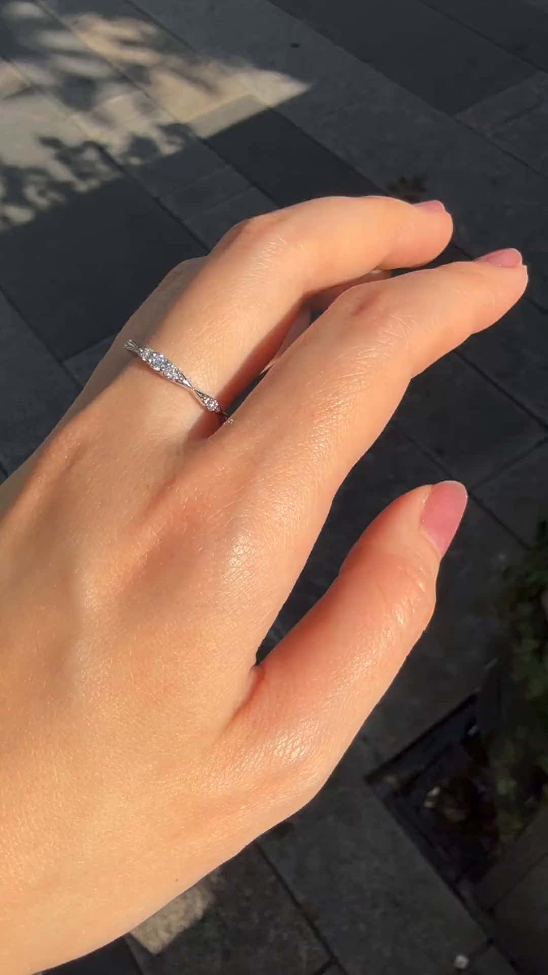 festaria bijou SOPHIA 大丸東京店 大國護 聖菜