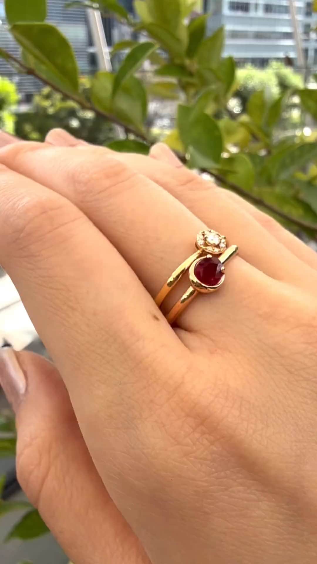 festaria bijou SOPHIA 大丸東京店 大國護 聖菜