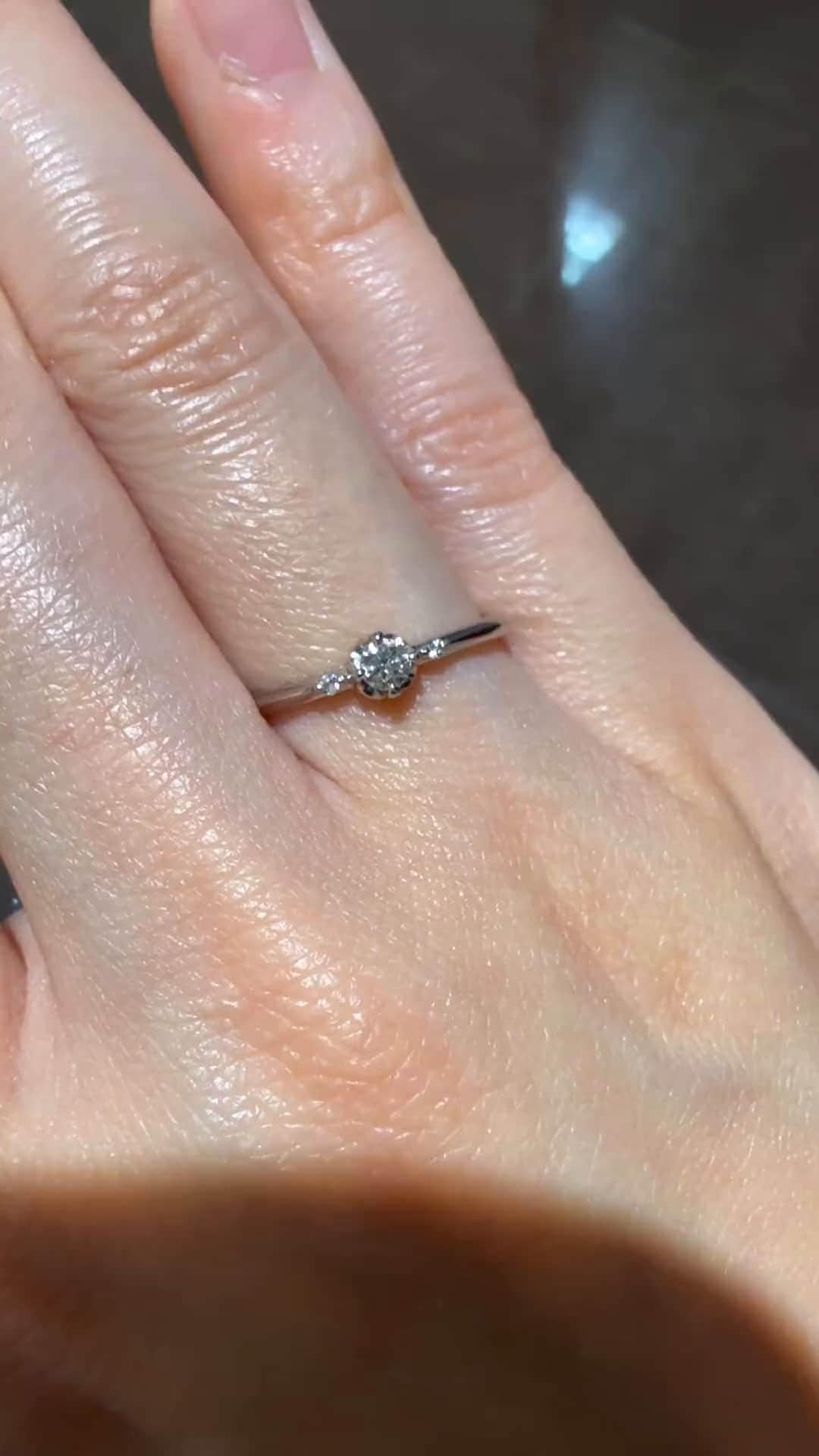 festaria bijou SOPHIA 大丸東京店 大國護 聖菜