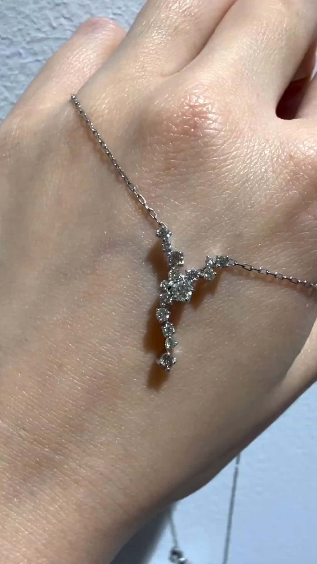 festaria bijou SOPHIA 大丸東京店 大國護 聖菜