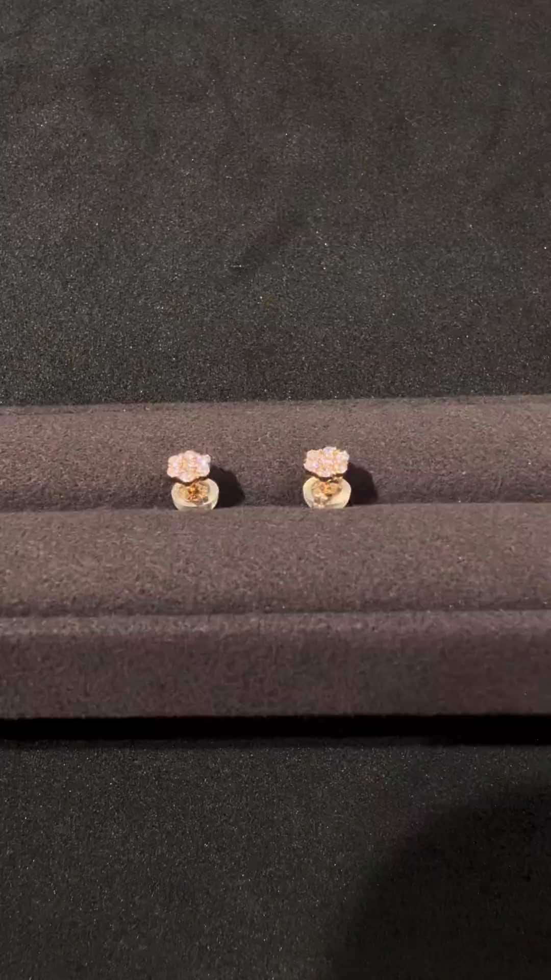 festaria bijou SOPHIA 大丸東京店 大國護 聖菜