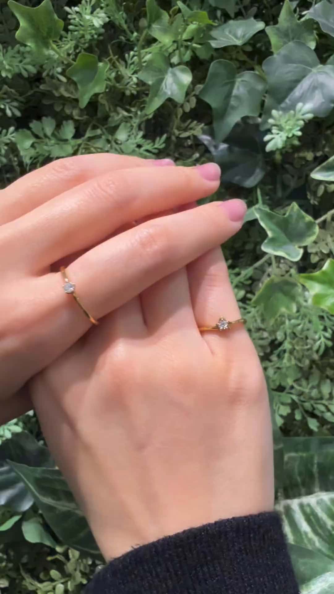 festaria bijou SOPHIA 大丸東京店 大國護 聖菜