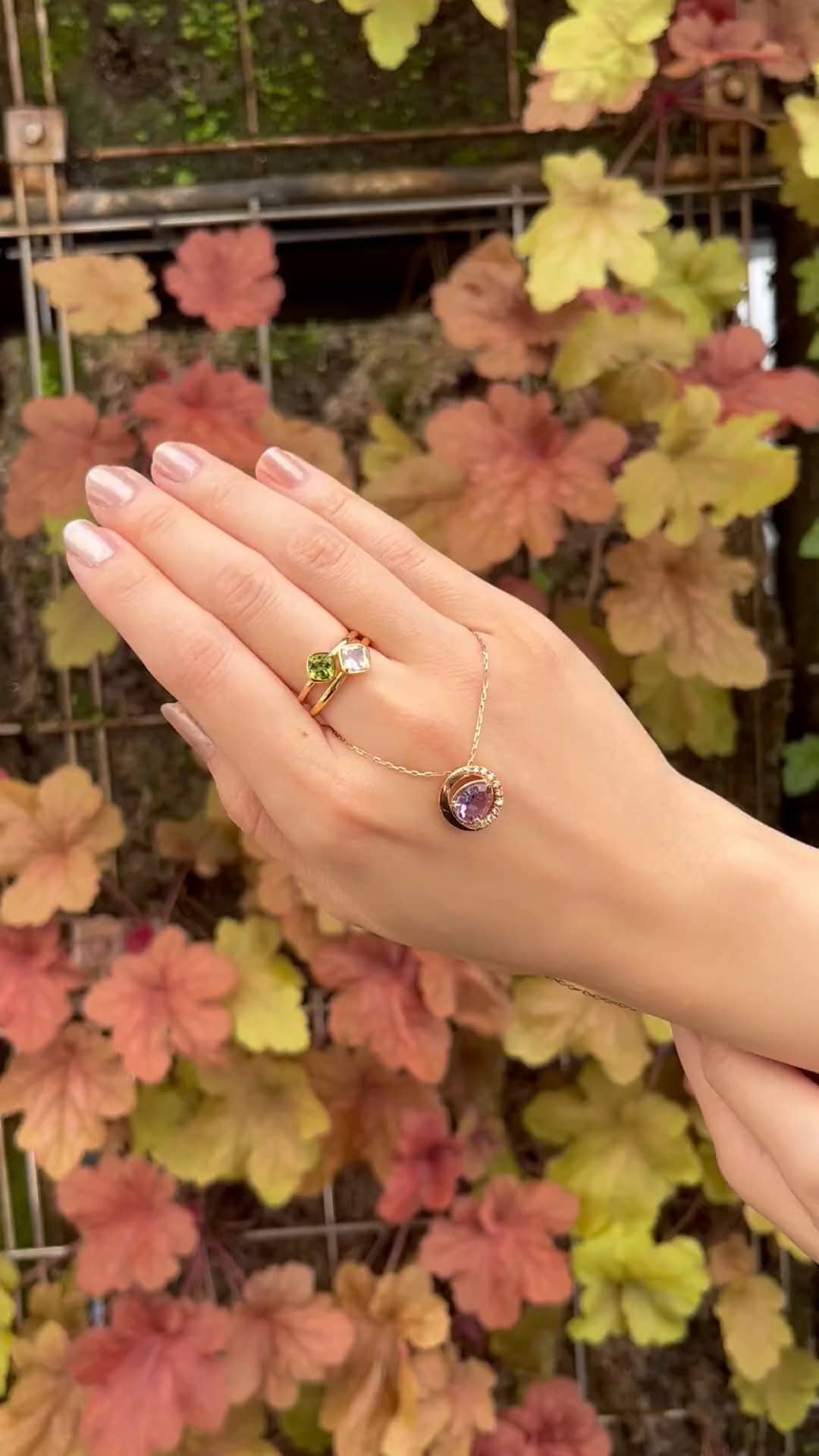 festaria bijou SOPHIA 大丸東京店 大國護 聖菜