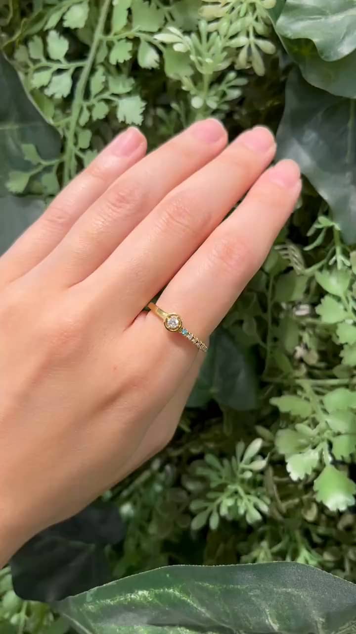 festaria bijou SOPHIA 大丸東京店 大國護 聖菜