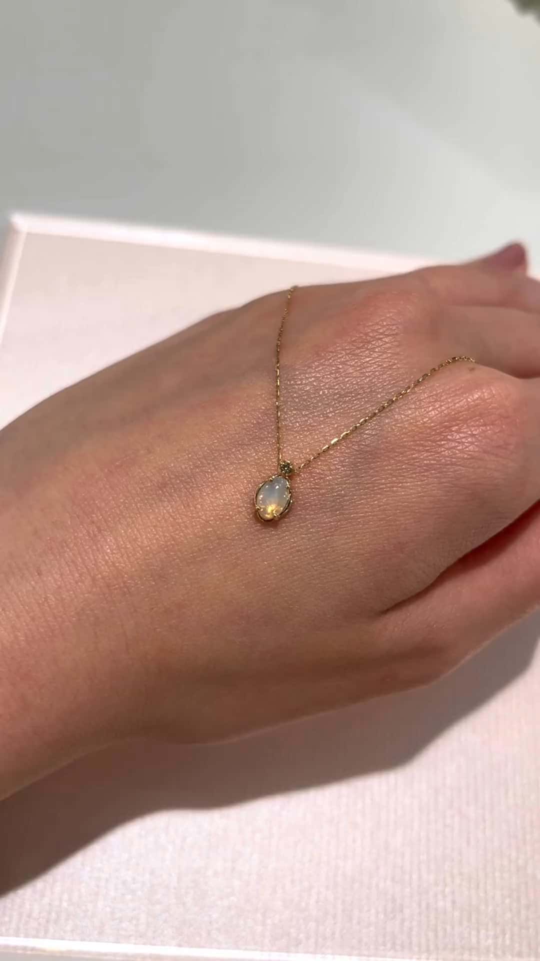 festaria bijou SOPHIA 大丸東京店 大國護 聖菜