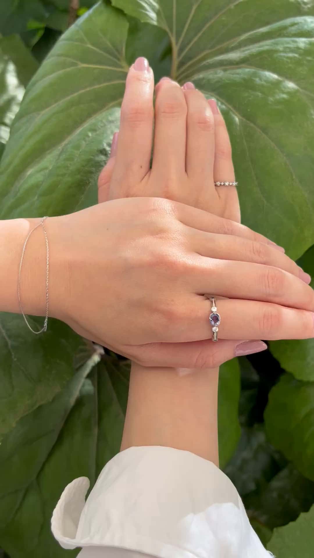 festaria bijou SOPHIA 大丸東京店 大國護 聖菜