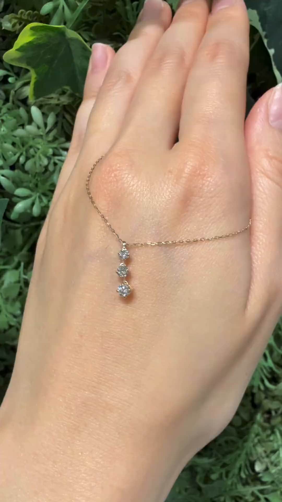 festaria bijou SOPHIA 大丸東京店 大國護 聖菜