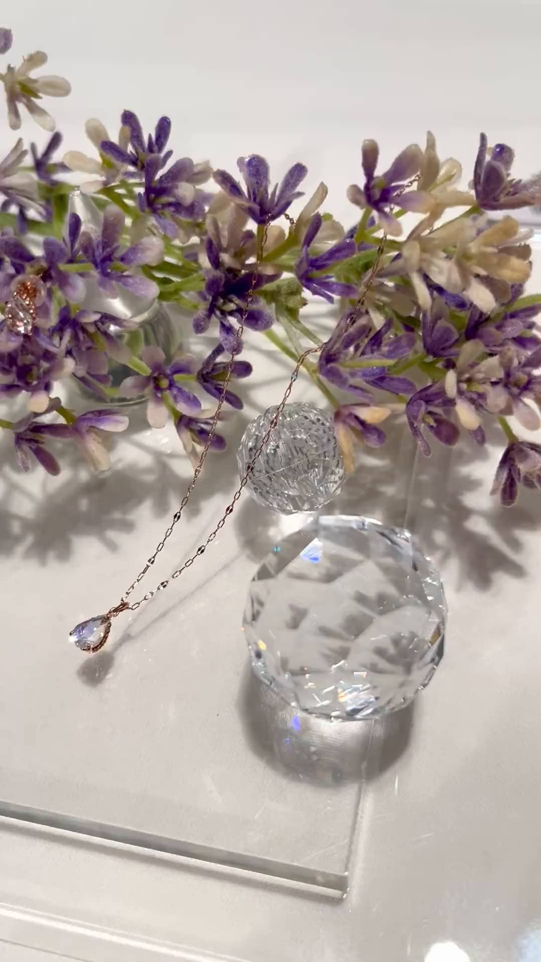 festaria bijou SOPHIA 大丸東京店 大國護 聖菜