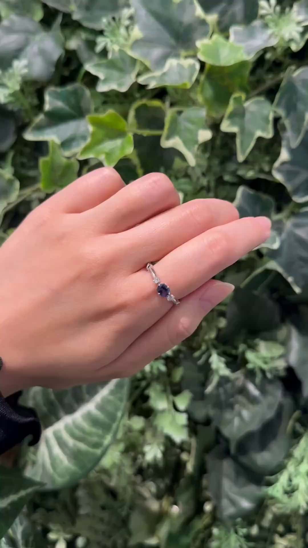 festaria bijou SOPHIA 大丸東京店 大國護 聖菜