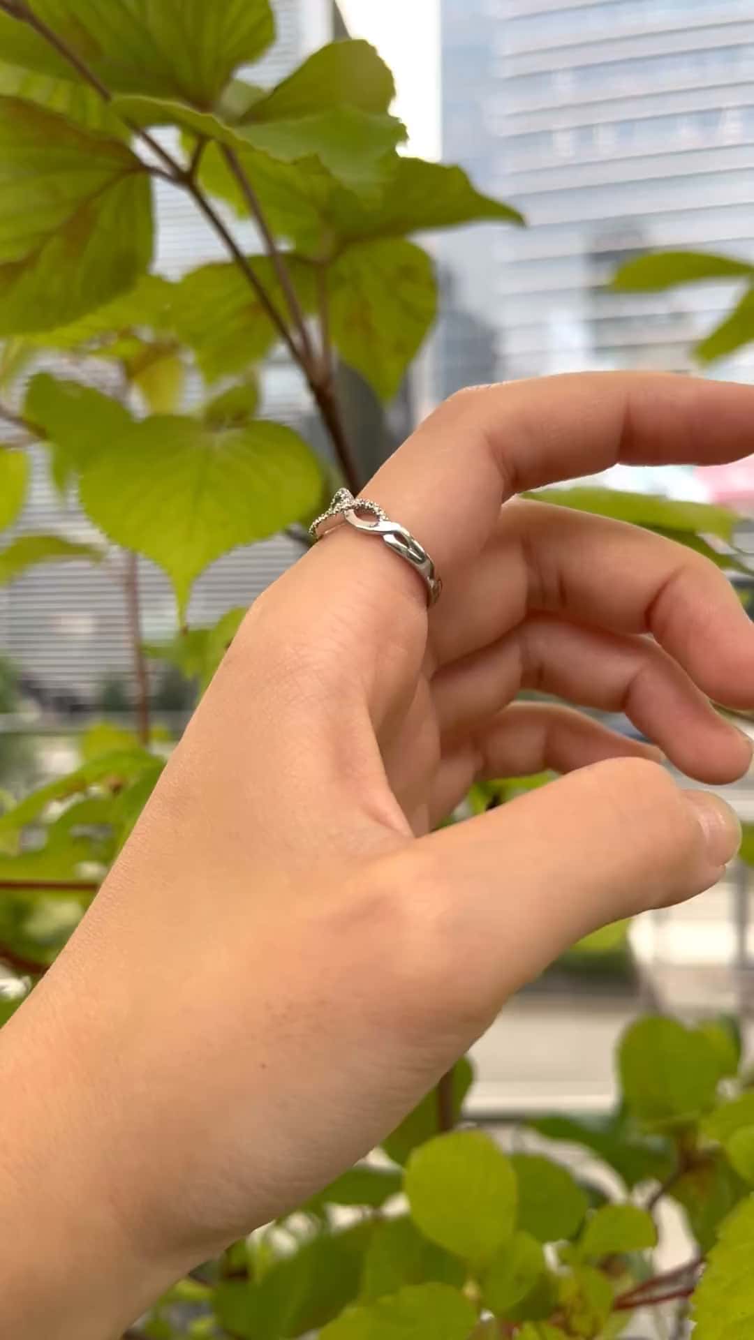 festaria bijou SOPHIA 大丸東京店 大國護 聖菜