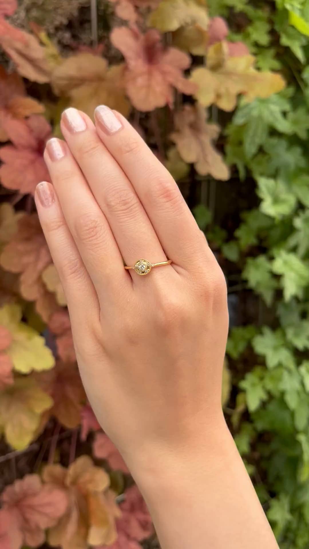 festaria bijou SOPHIA 大丸東京店 大國護 聖菜