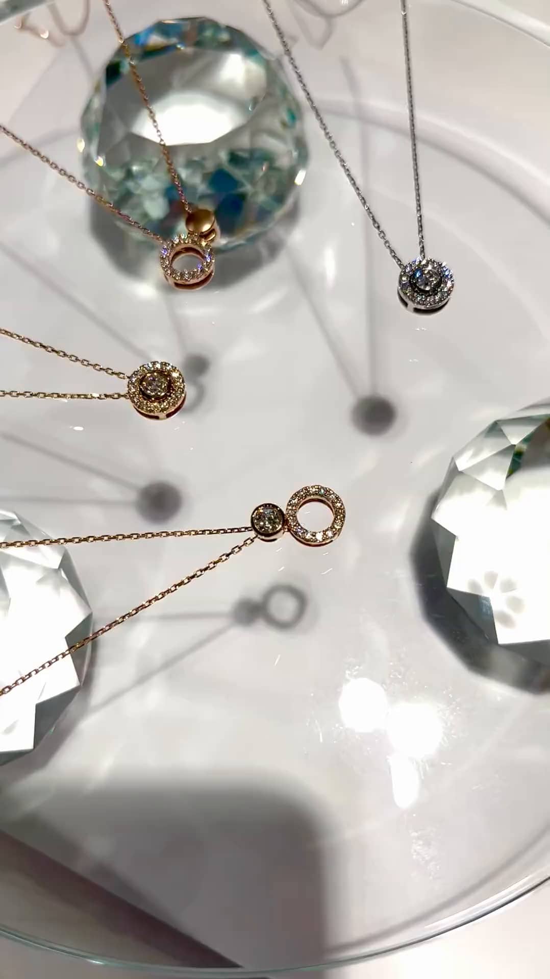 festaria bijou SOPHIA 大丸東京店 大國護 聖菜