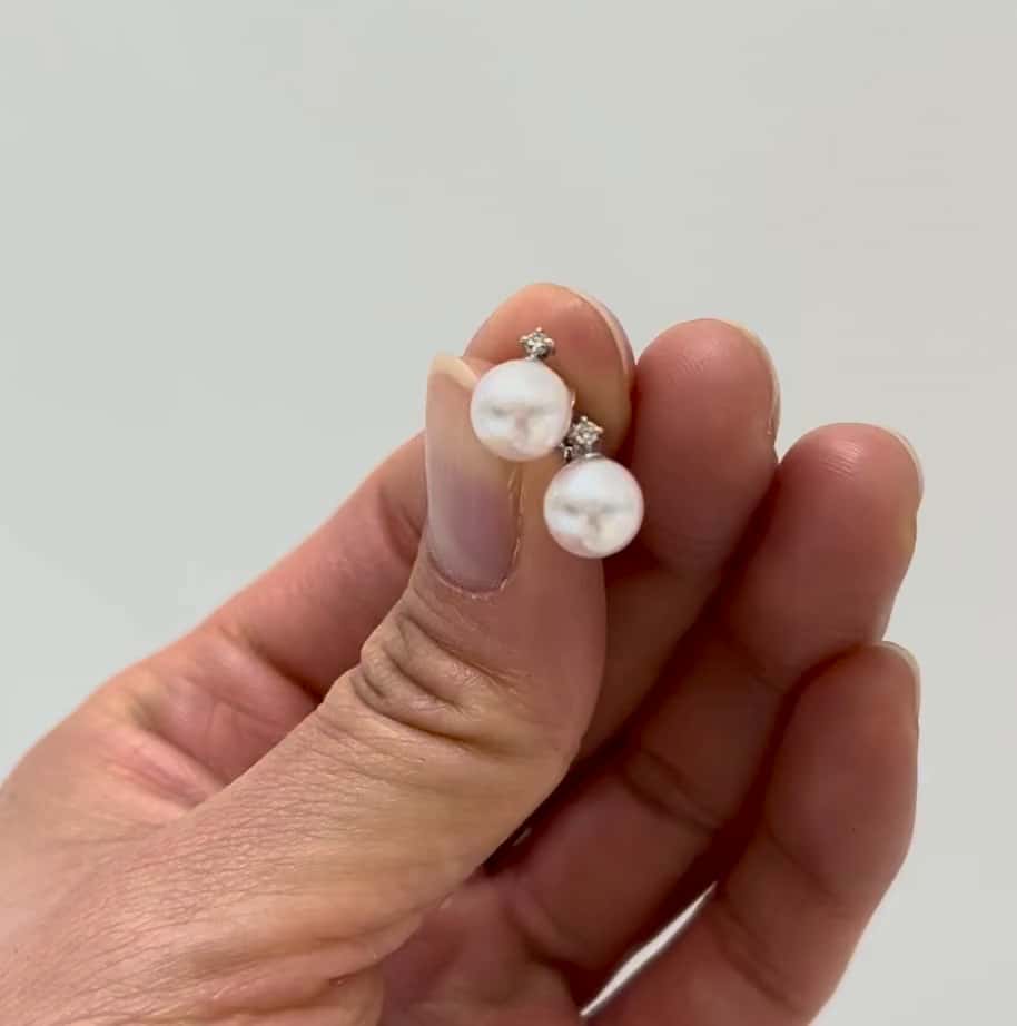 festaria VOYAGE 静岡パルコ店 Akina Matsunaga