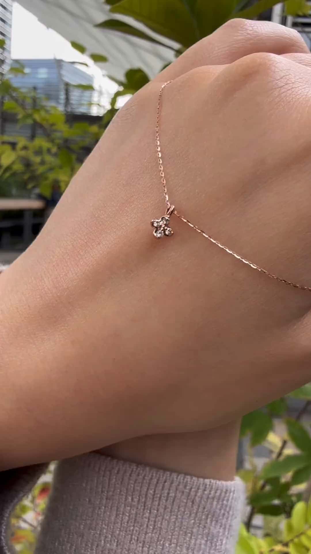 festaria bijou SOPHIA 大丸東京店 大國護 聖菜