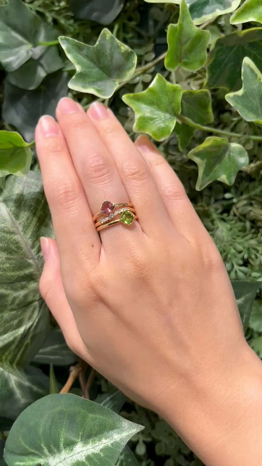 festaria bijou SOPHIA 大丸東京店 大國護 聖菜