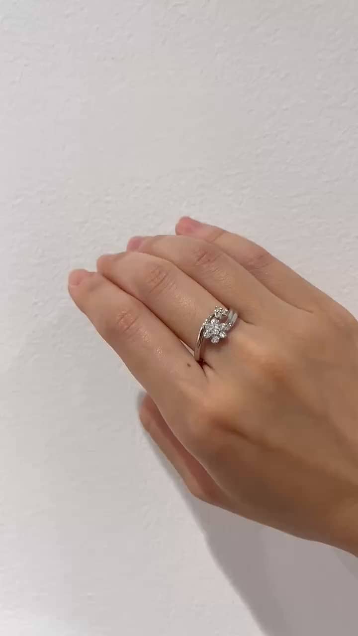 festaria bijou SOPHIA 大丸東京店 大國護 聖菜