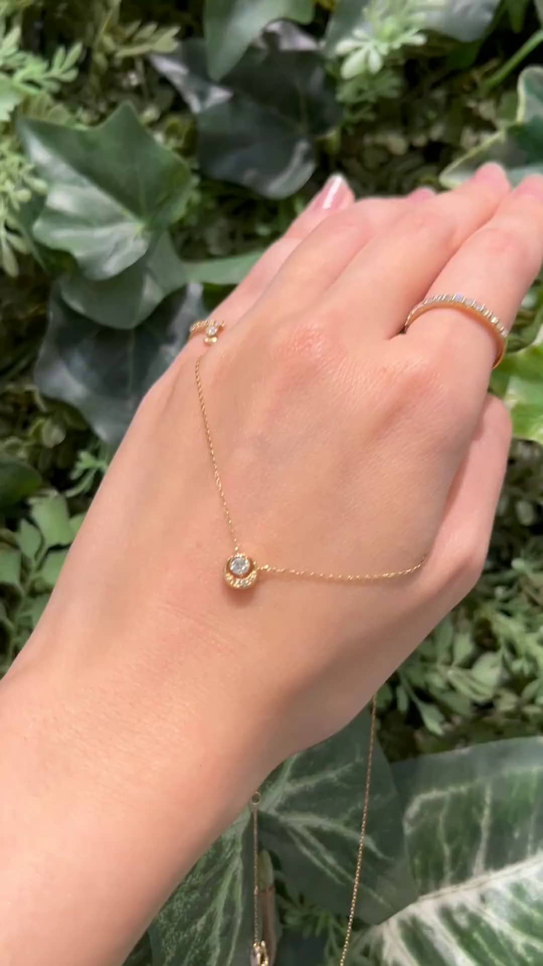 festaria bijou SOPHIA 大丸東京店 大國護 聖菜