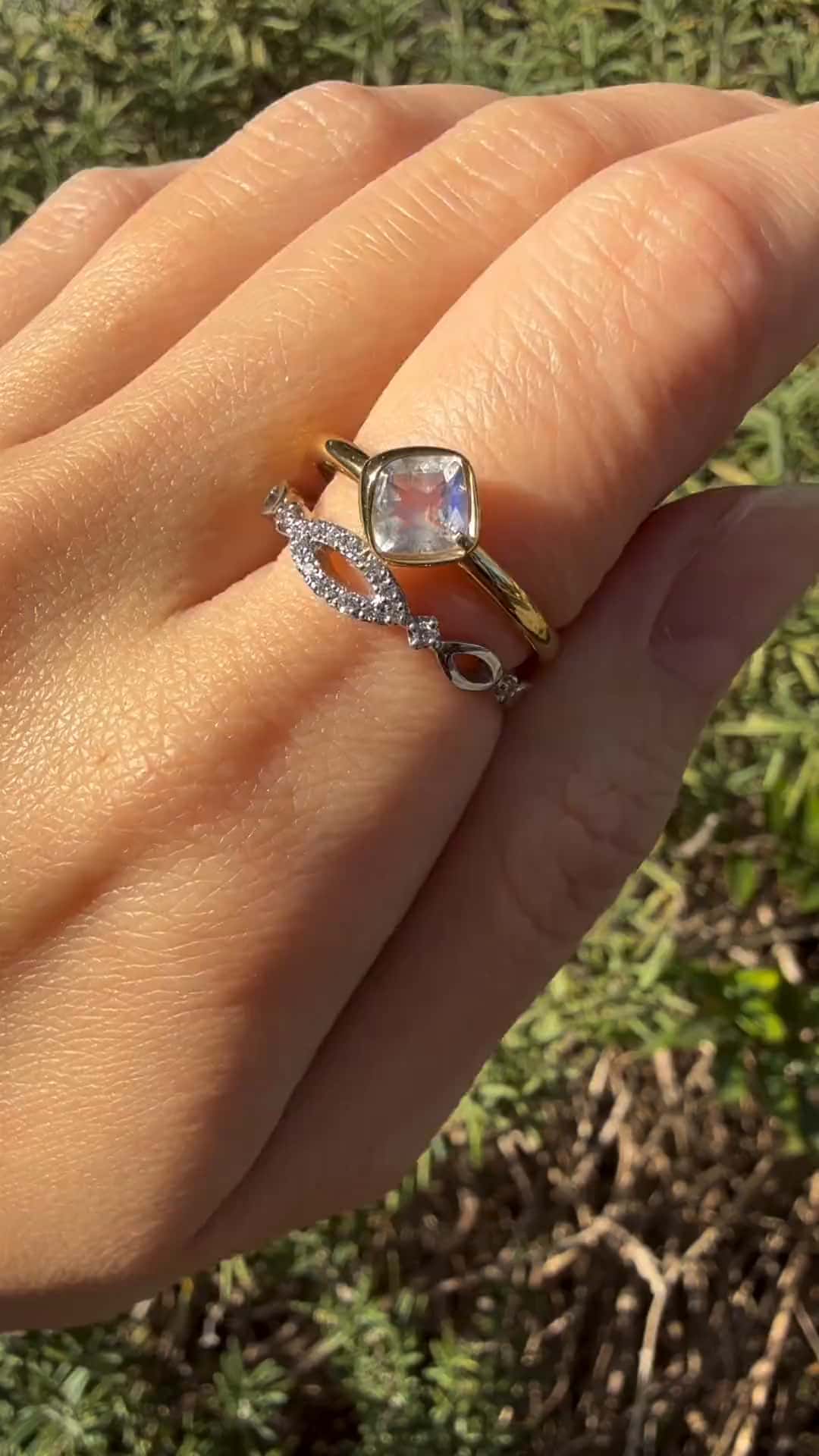 festaria bijou SOPHIA 大丸東京店 大國護 聖菜