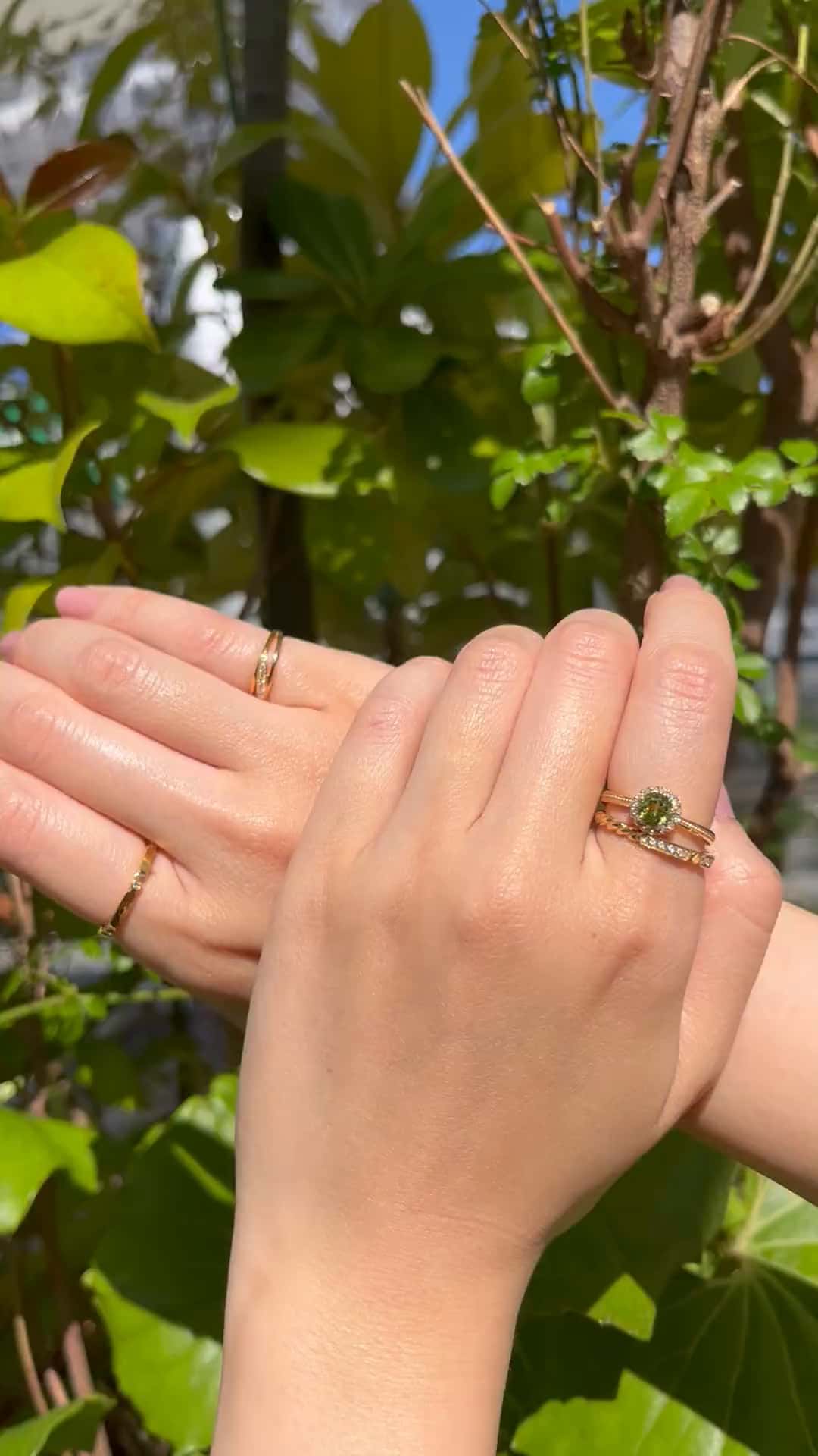 festaria bijou SOPHIA 大丸東京店 大國護 聖菜