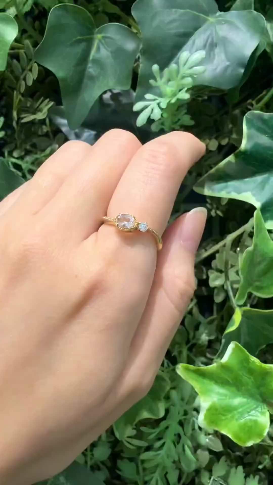 festaria bijou SOPHIA 大丸東京店 大國護 聖菜