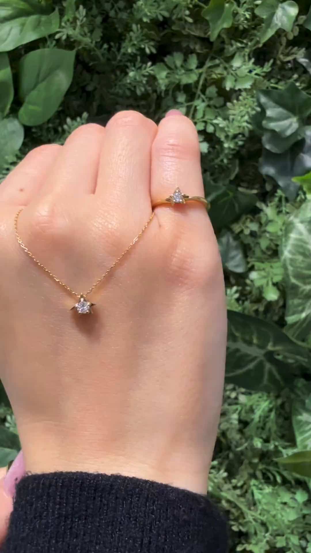 festaria bijou SOPHIA 大丸東京店 大國護 聖菜