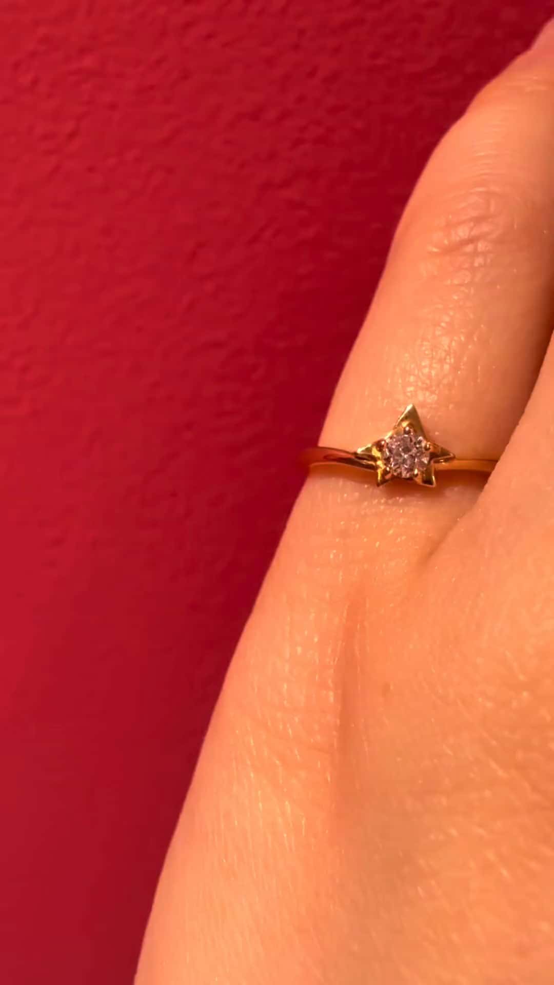 festaria bijou SOPHIA 大丸東京店 大國護 聖菜