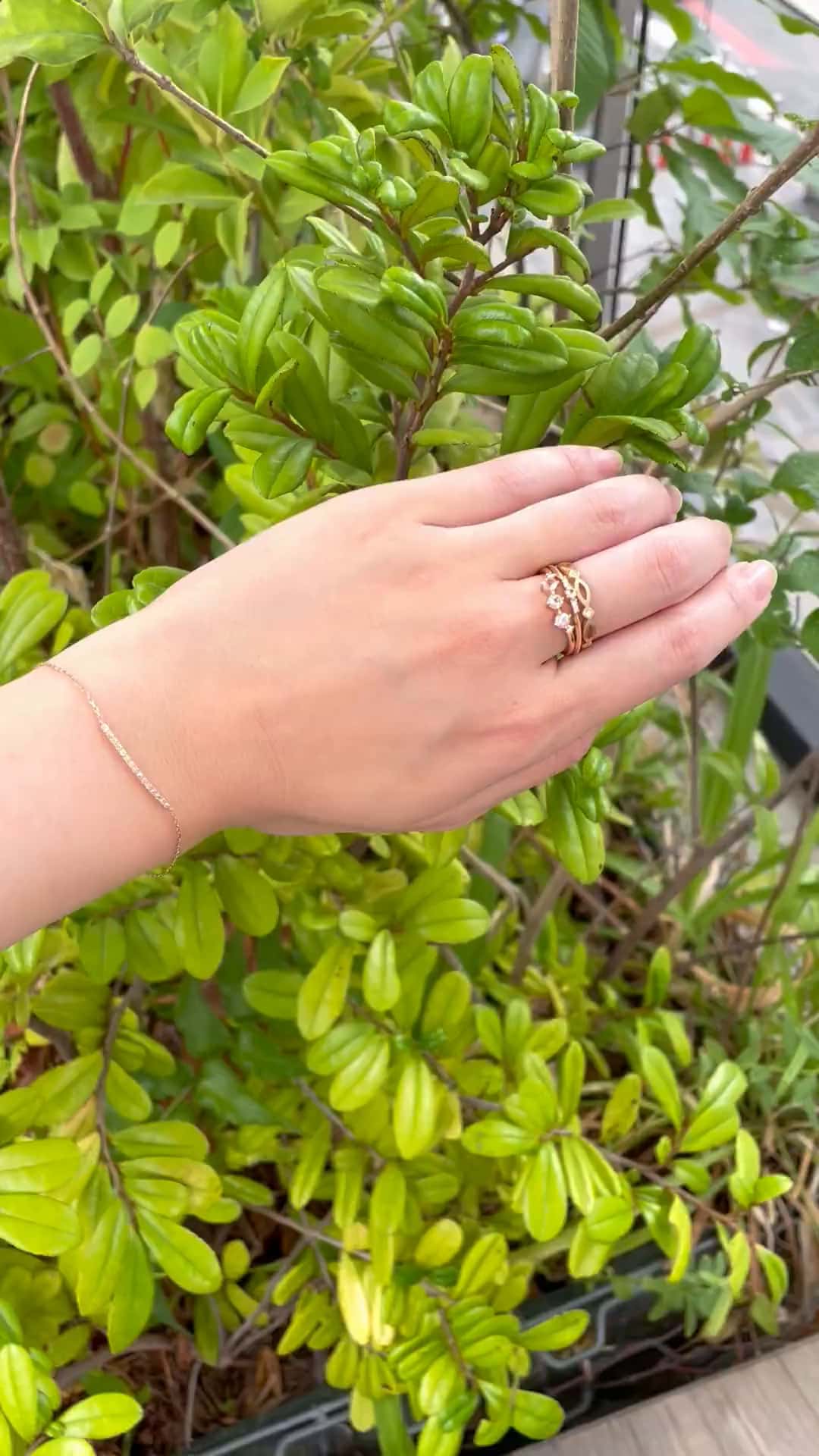 festaria bijou SOPHIA 大丸東京店 大國護 聖菜