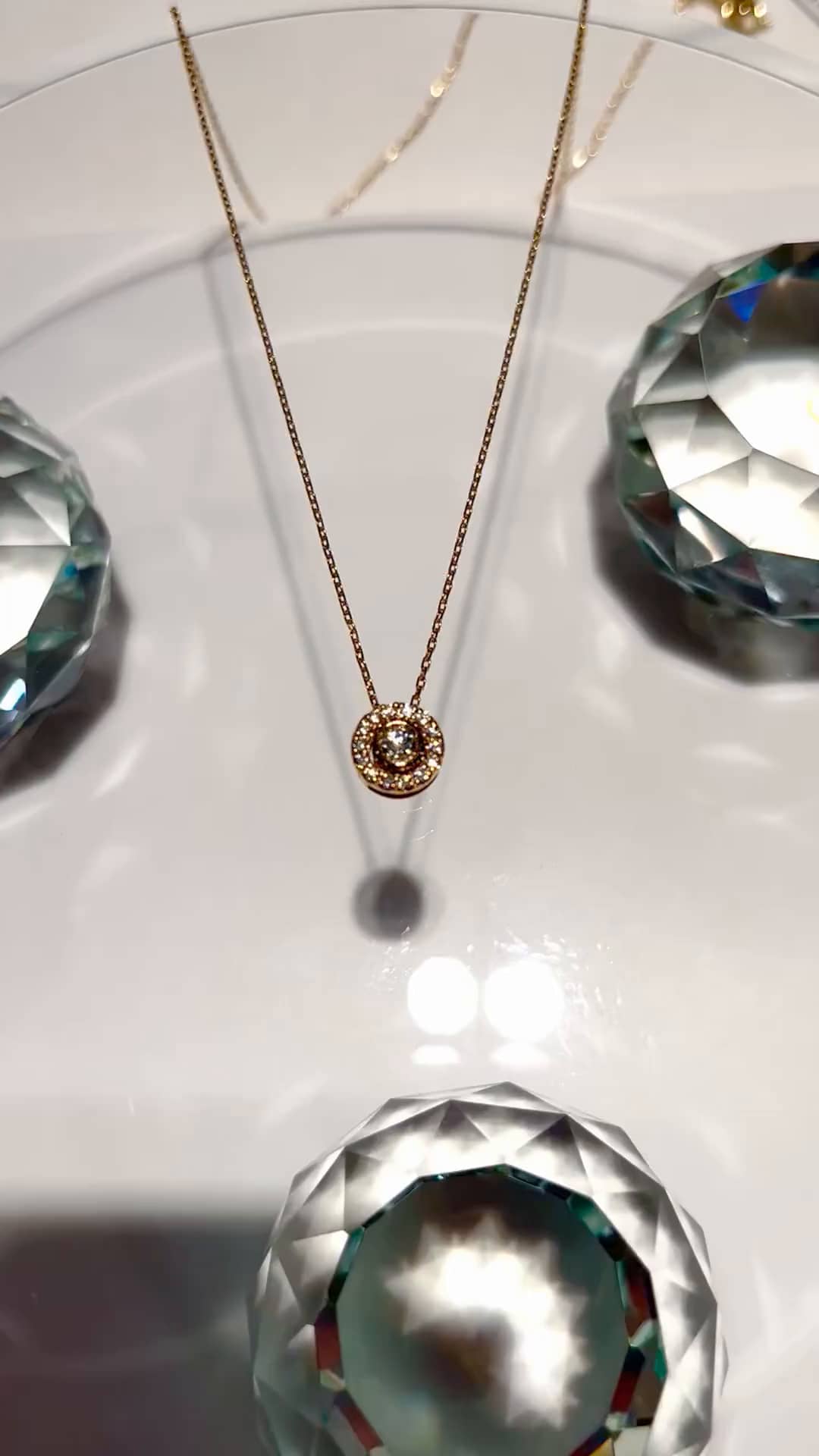 festaria bijou SOPHIA 大丸東京店 大國護 聖菜