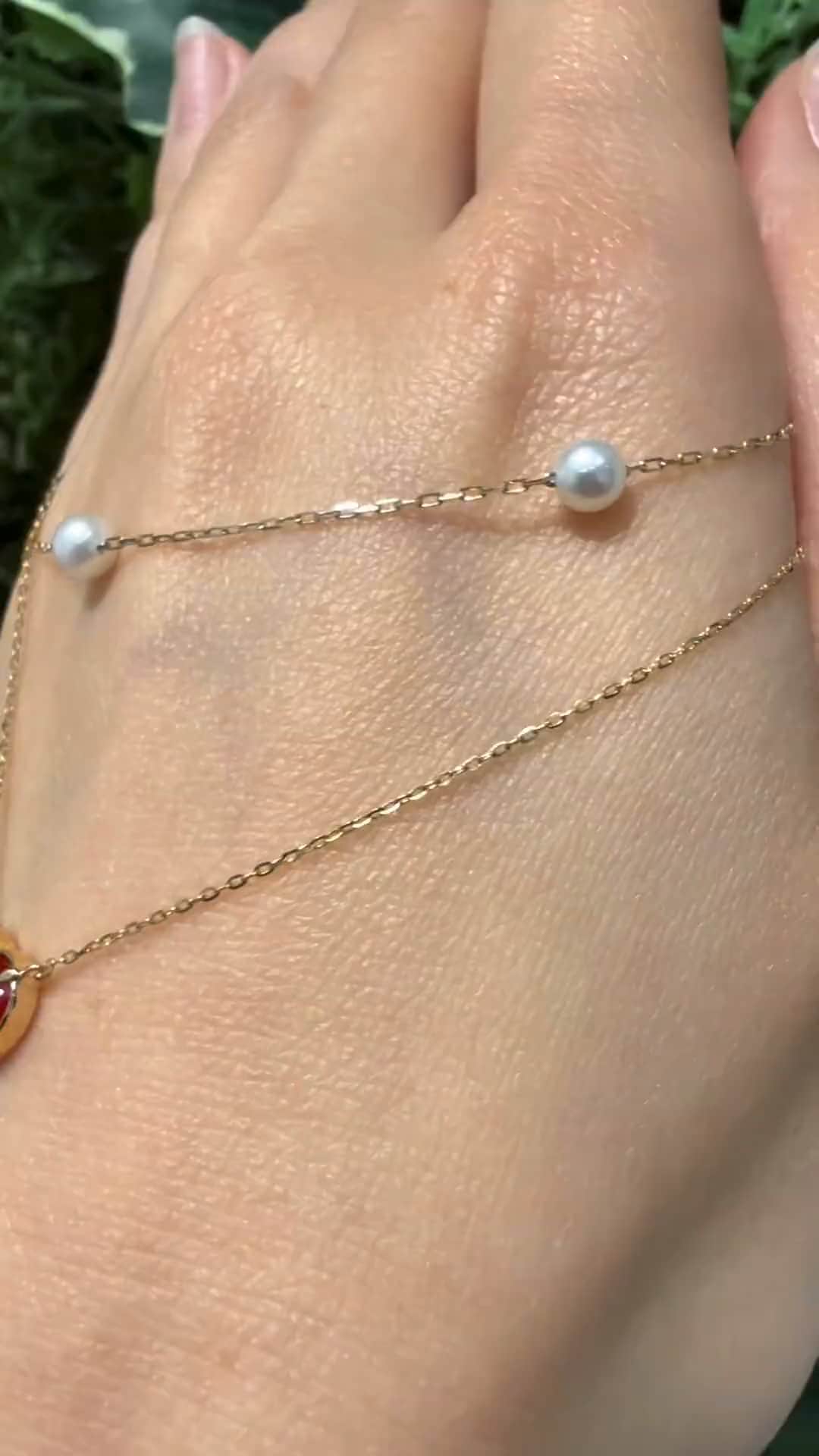 festaria bijou SOPHIA 大丸東京店 大國護 聖菜