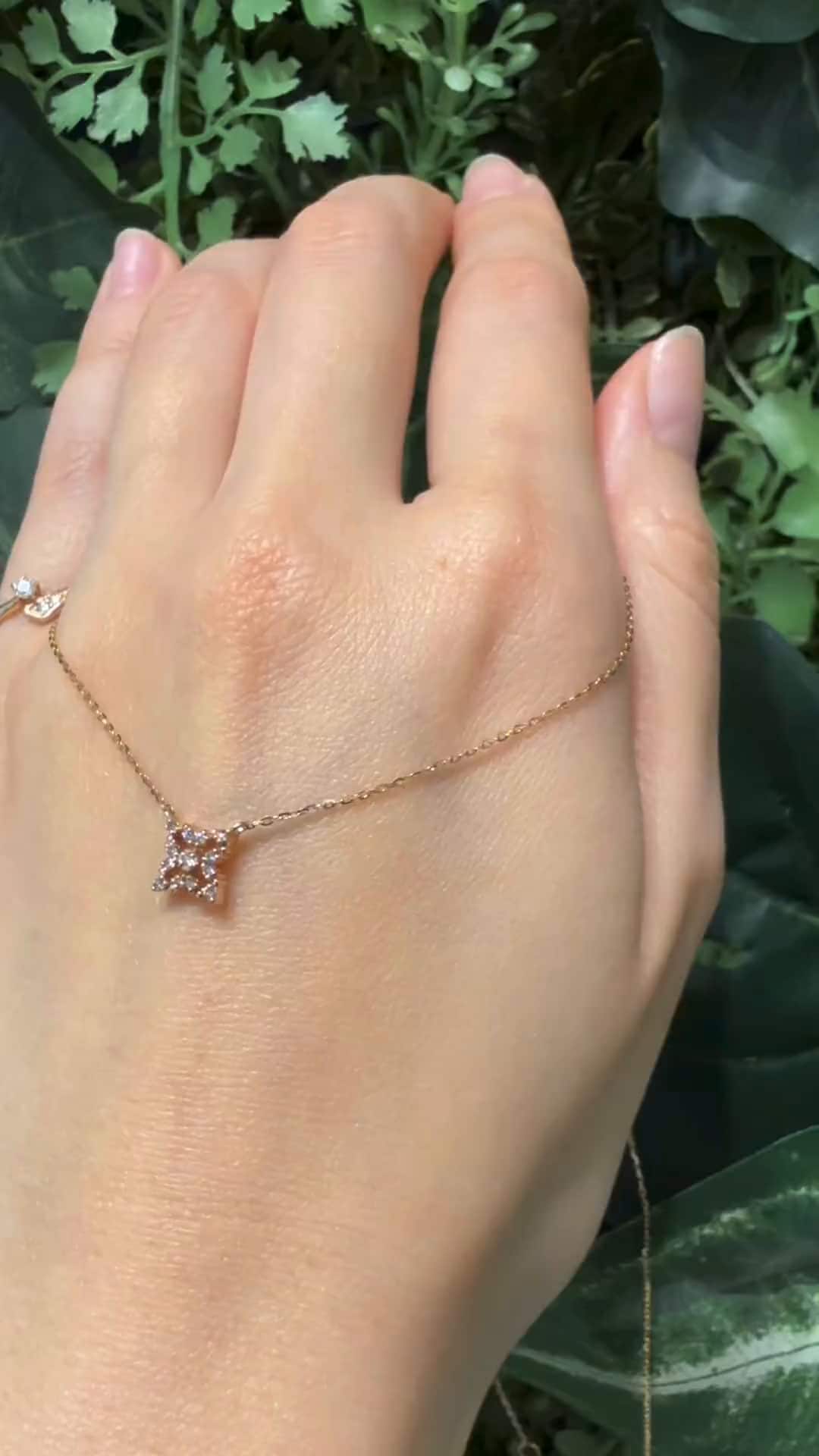 festaria bijou SOPHIA 大丸東京店 大國護 聖菜