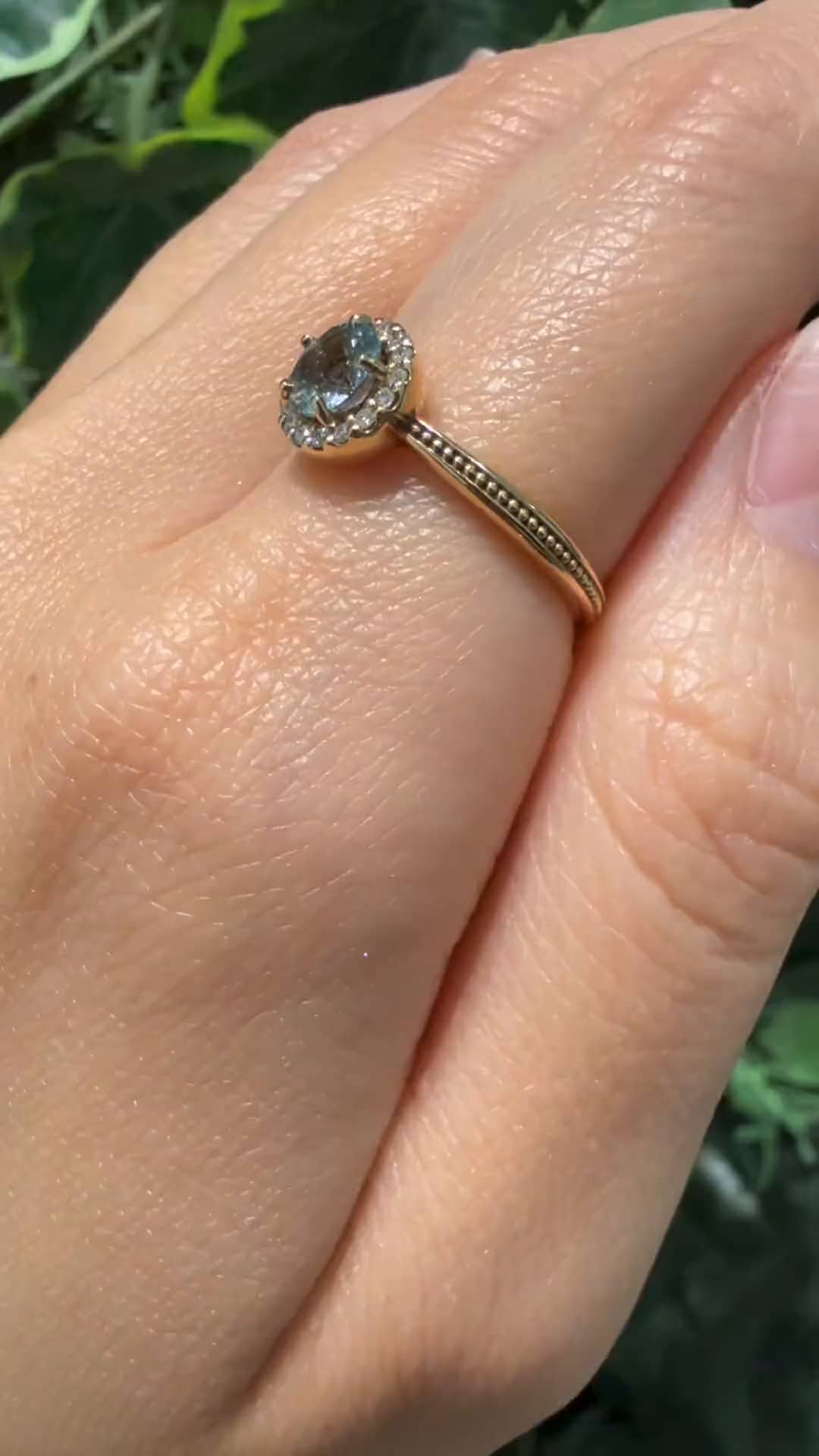 festaria bijou SOPHIA 大丸東京店 大國護 聖菜