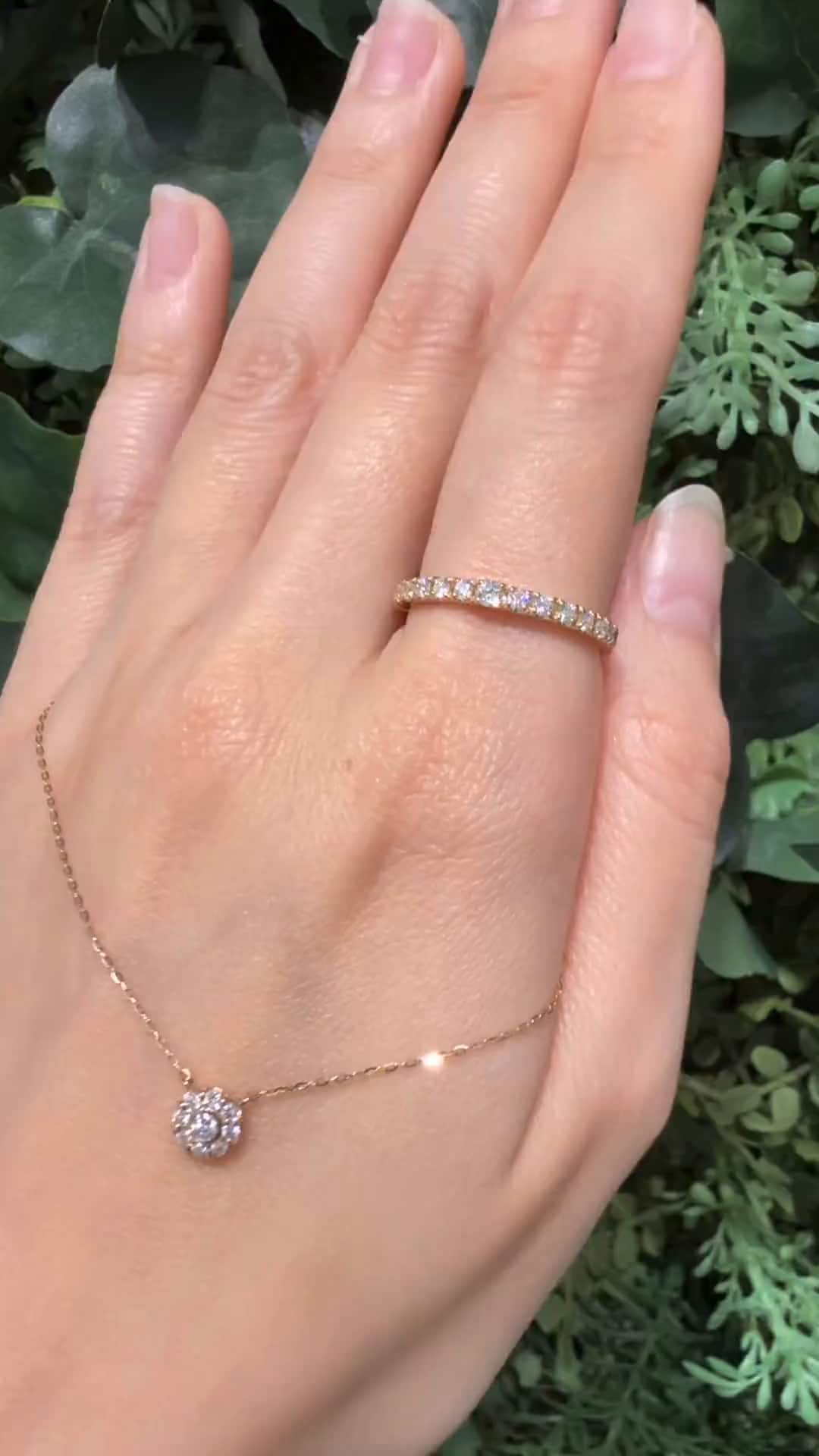 festaria bijou SOPHIA 大丸東京店 大國護 聖菜