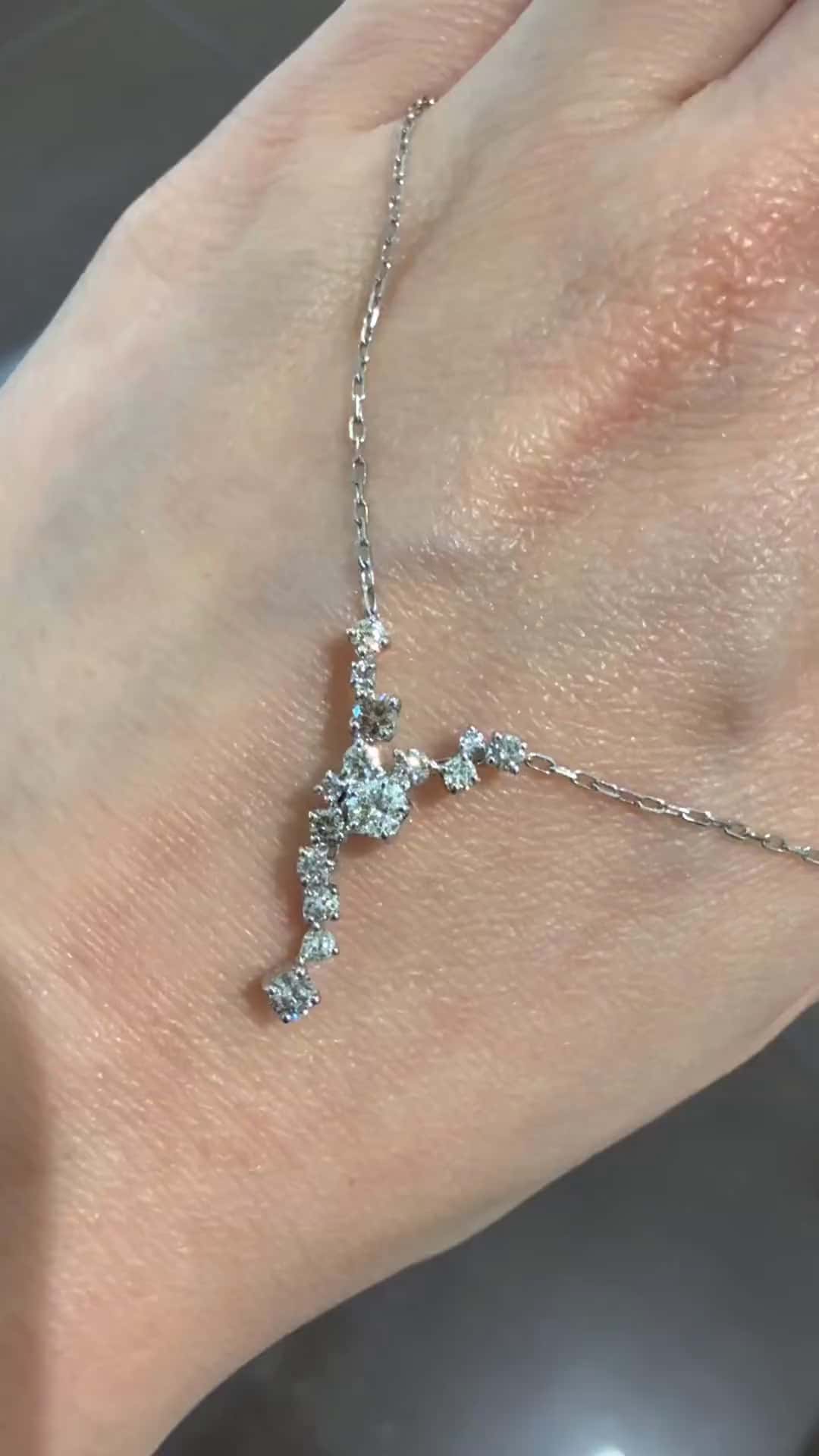 festaria bijou SOPHIA 大丸東京店 大國護 聖菜