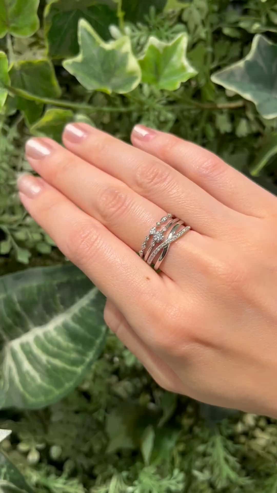 festaria bijou SOPHIA 大丸東京店 大國護 聖菜