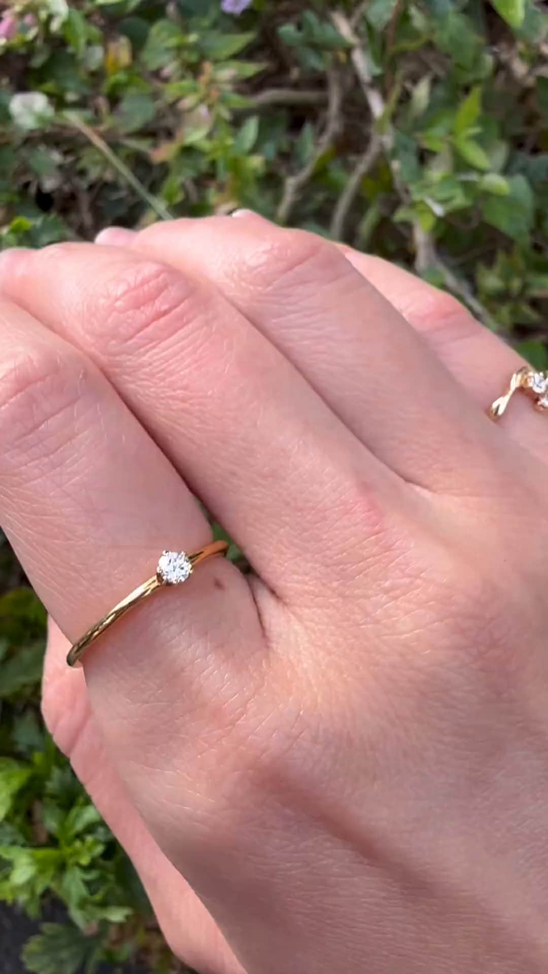 festaria bijou SOPHIA 大丸東京店 大國護 聖菜