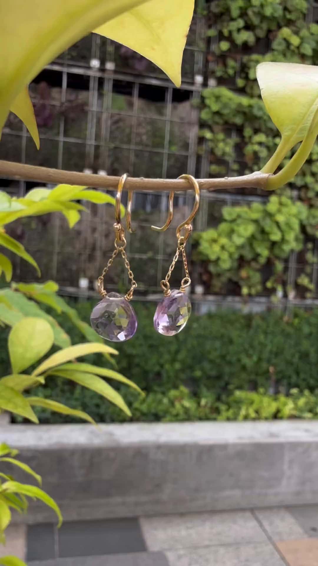 festaria bijou SOPHIA 大丸東京店 大國護 聖菜